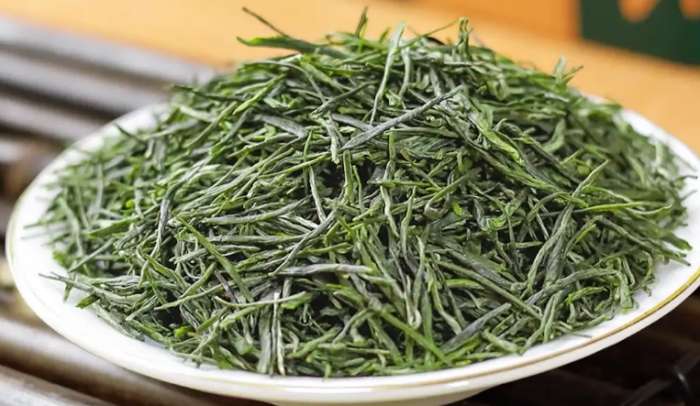 玉露是多肉植物嗎